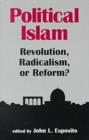 Image for Political Islam  : revolution, radicalism or reform?