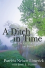 Image for Ditch in Time: The City, the West and Water