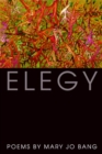 Image for Elegy