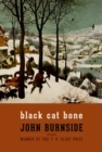 Image for Black cat bone: poems