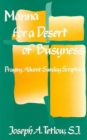 Image for Manna for a Desert of Busyness