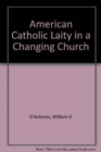 Image for American Catholic Laity in a Changing Church