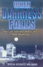 Image for When Darkness Falls