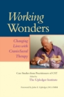 Image for Working Wonders : Changing Lives with CranioSacral Therapy