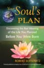 Image for Your soul&#39;s plan: discovering the real meaning of the life you planned before you were born