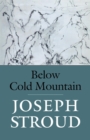 Image for Below Cold Mountain