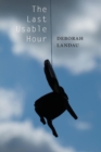 Image for The Last Usable Hour