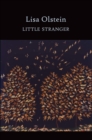 Image for Little Stranger