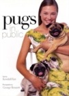 Image for Pugs in public