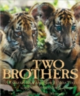 Image for Two Brothers