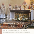 Image for Feasts of Our Lady