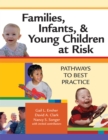 Image for Families, infants, and young children at risk  : pathways to best practice