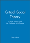 Image for Critical Social Theory : Culture, History, and the Challenge of Difference
