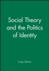 Image for Social Theory and the Politics of Identity