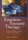 Image for Emotion-focused Therapy
