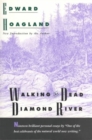 Image for Walking the Dead Diamond River