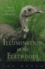 Image for Illumination in the Flatwoods