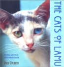 Image for Cats of Lamu
