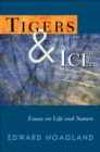 Image for Tigers &amp; Ice : Reflections on N