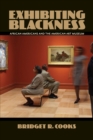 Image for Exhibiting blackness  : African Americans and the American art museum