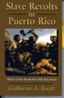 Image for Slave revolts in Puerto Rico  : slave conspiracies and unrest in Puerto Rico, 1795-1873