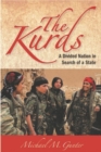 Image for The Kurds : A Divided Nation in Search of a State
