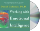 Image for Working with Emotional Intelligence