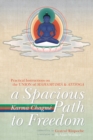 Image for A Spacious Path to Freedom : Practical Instructions on the Union of Mahamudra and Atiyoga