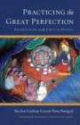Image for Practicing the Great Perfection : Instructions on the Crucial Points