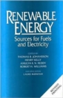 Image for Renewable Energy : Sources For Fuels And Electricity