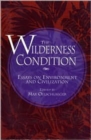 Image for The Wilderness Condition