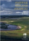 Image for Statewide Wetlands Strategies