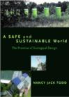Image for A Safe and Sustainable World