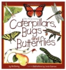Image for Caterpillars, Bugs and Butterflies