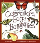Image for Caterpillars, Bugs and Butterflies : Take-Along Guide