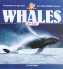 Image for Whales for Kids