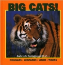 Image for Big cats!  : exploring the fascinating world of tigers, lions, cougars &amp; leopards