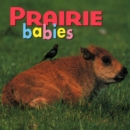 Image for Prairie Babies