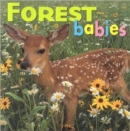 Image for Forest babies