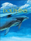 Image for We are Dolphins