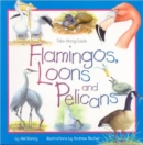 Image for Flamingos, Loons &amp; Pelicans