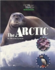 Image for Arctic