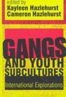 Image for Gangs and Youth Subcultures : International Explorations