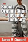 Image for The Social Organization of Juvenile Justice