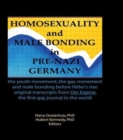 Image for Homosexuality and Male Bonding in Pre-Nazi Germany : the youth movement, the gay movement, and male bonding before Hitler&#39;s rise