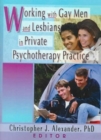 Image for Working with gay men and lesbians in private psychotherapy