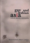 Image for Gay and Lesbian Asia : Culture, Identity, Community
