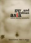 Image for Gay and lesbian Asia  : culture, identity, community
