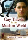 Image for Gay Travels in the Muslim World
