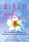 Image for Birth as a Healing Experience